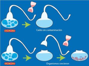 Teorías sobre el origen de la vida: generación espontánea y ...