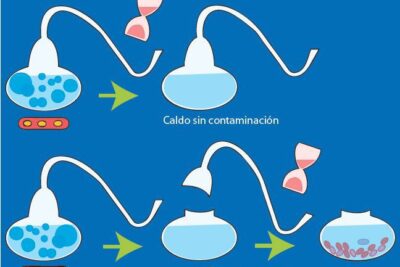 Teorías sobre el origen de la vida: generación espontánea y ...