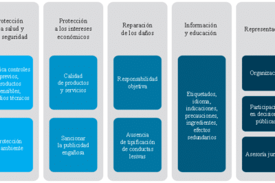 La influencia del derecho y sus ramas en el mundo de los negocios ...