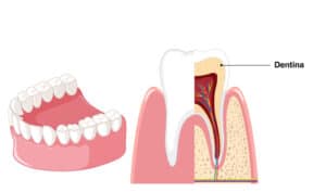 www.clinicadrcalatayud.com/wp-content/uploads/2022...