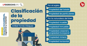 Clasificación de la propiedad, bien explicado por Aníbal Torres ...