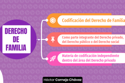 Derecho de familia: ¿derecho público o derecho privado?, por ...