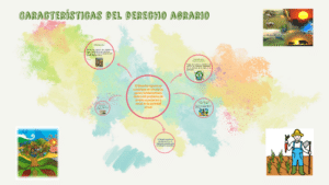 Características del Derecho Agrario by Marivanessa Carolina Agüero ...