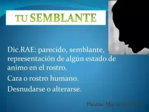 PPT - Dic.RAE: parecido, semblante, representación de algún estado ...