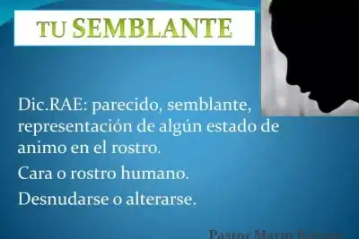 PPT - Dic.RAE: parecido, semblante, representación de algún estado ...