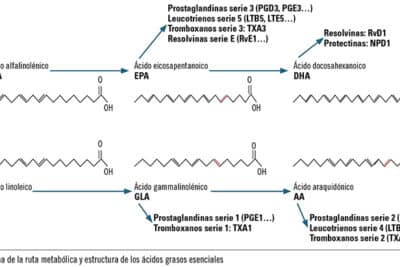 Ácidos grasos esenciales