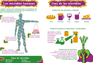 Importancia de la Microbiología en la Vida Cotidiana: Un Estudio ...