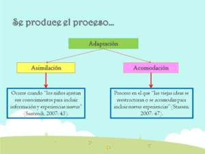 SEMANA 15. ADAPTACIÓN - Principios de facilitación neuromotores