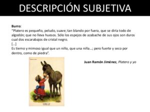 Entendiendo la descripción subjetiva: Ejemplos y definición