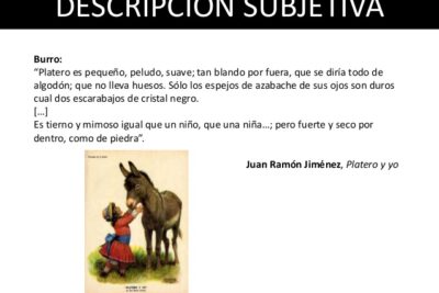 Entendiendo la descripción subjetiva: Ejemplos y definición