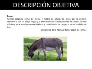 Definición y ejemplos de descripción objetiva