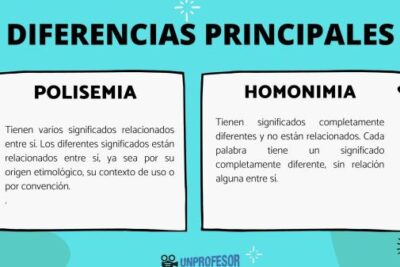 Diferencia entre polisemia y homonimia - con vídeo y ejemlplos