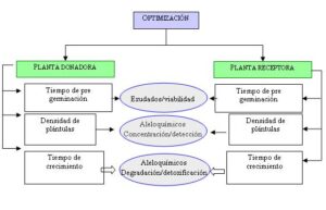 Actualización científica