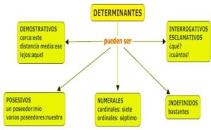 Qué tipos de DETERMINANTES - [resumen + EJEMPLOS!]