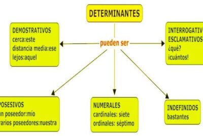 Qué tipos de DETERMINANTES - [resumen + EJEMPLOS!]