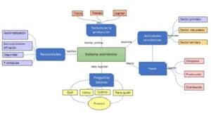 Actividades económicas: qué son y tipos - Resumen