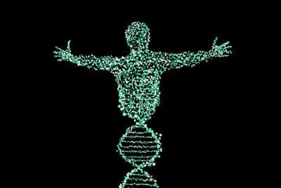 Determinismo - Qué es, en la biología, en la religión y en la economía