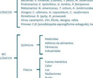 TEMA 2. LA CADENA EPIDEMIOLÓGICA