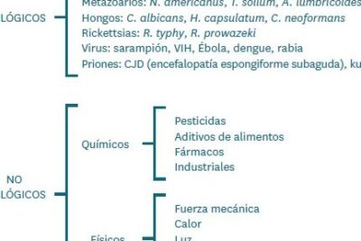 TEMA 2. LA CADENA EPIDEMIOLÓGICA