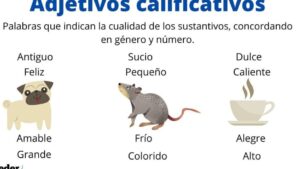 Adjetivos calificativos: definición, tipos, para qué sirven, ejemplos