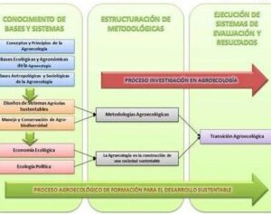 LA AGROECOLOGÍA: UN MARCO DE REFERENCIA PARA ENTENDER SUS PROCESOS ...