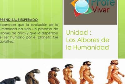 Unidad : Los Albores de la Humanidad - ppt video online descargar