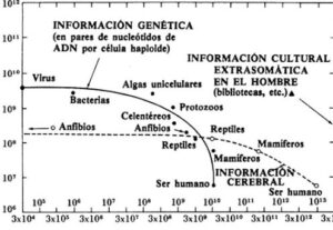 Los dragones del Edén - Carl Sagan