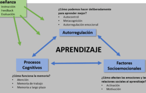 juandon. Innovación y conocimiento – Página 4 – La búsqueda del ...