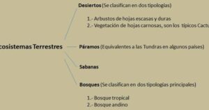 Ecosistemas terrestres; tipos, flora, fauna y características | OVACEN