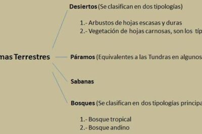 Ecosistemas terrestres; tipos, flora, fauna y características | OVACEN