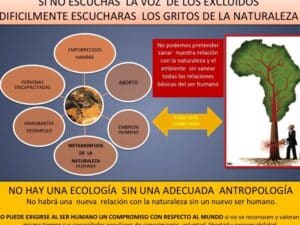 La ecología integral, un concepto distorsionado - Aula de Doctrina ...