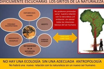 La ecología integral, un concepto distorsionado - Aula de Doctrina ...