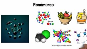 ▷ Diferencias de los elastomeros con otros polimeros ...