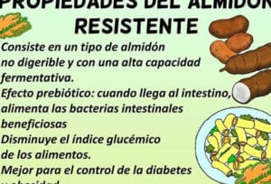 Propiedades del almidón resistente – Botanical-online