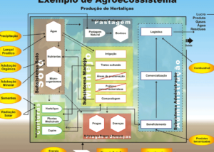 Agroecosistema - Wikipedia, la enciclopedia libre