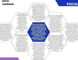 Afectividad: Definición, Evolución y Concepto en Psicología