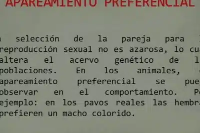 Ejemplos de Apareamiento Preferencial: La Selección Natural en ...