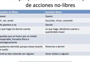 Ejemplos de Acción de Tutela Cortas: Protección de Derechos ...