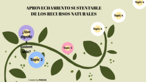 ➤ Qué es el aprovechamiento sustentable ✔️ Incluye VÍDEO