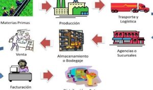 Cadena de suministro: Qué es, tipos y ejemplos