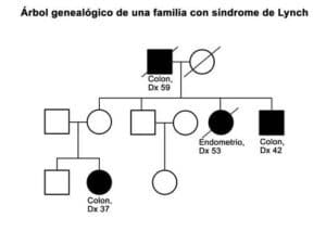 Definición de árbol genealógico - Diccionario de genética del NCI ...