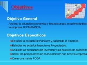 Análisis financiero: tecmaninca (ppt)