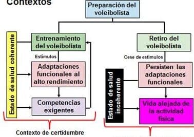 El deportista de alto rendimiento: apuntes para pensar en su ...