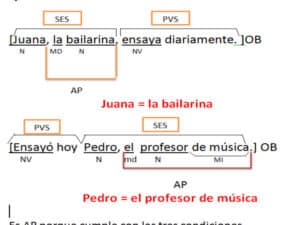 Qué es una aposición, características y tipos de aposiciones