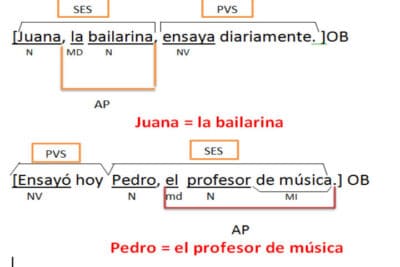 Qué es una aposición, características y tipos de aposiciones