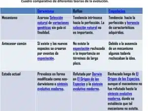 Diferencias Diseño Inteligente Y Evolucionismo: Cuadro Comparativo ...