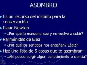 ORIGEN DE LA FILOSOFÍA: Los 3 Estados de Ánimo del Filósofo