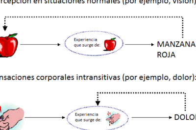 Dolor - DIA