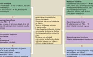 Protocolo diagnóstico del síndrome de ovario poliquístico en ...