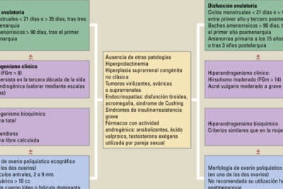 Protocolo diagnóstico del síndrome de ovario poliquístico en ...